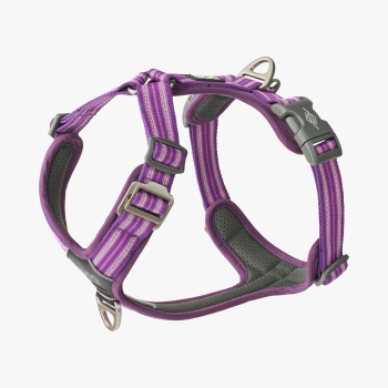 DOG Copenhagen V3 Comfort Walk Air™ Harness Purple Passion Geschirr V3-AIR-PP